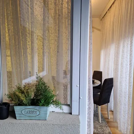 Kamche Lux *